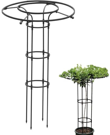 Garten Rankhilfe, 120cm Rankhilfe Garten Obelisk, Gartenspalier Für Kletterpflanzen, Rankhilfe für Kletterpflanzen, Rankhilfe Rankobelisk, Rankgitter Käfige für Kletterpflanzen wie Blumen, Tomaten