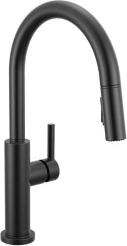 Delta Faucet Nicoli Kitchen Faucet with Pull Down Sprayer, Single Hole Matte Black 19867LF-BL
