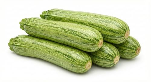 Semillas de Calabacín San Pasquale 6g | Variedad Precoz y Productiva | Semillas Huerto Profesionales Alta Germinación | Ideales para Huerto, Jardín y Cultivo Doméstica
