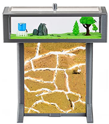 AntHouse - Natürliche Ameisenfarm aus Sand | 3D T Kit 15x15x1,5cm Grau| Inklusive Ameisen