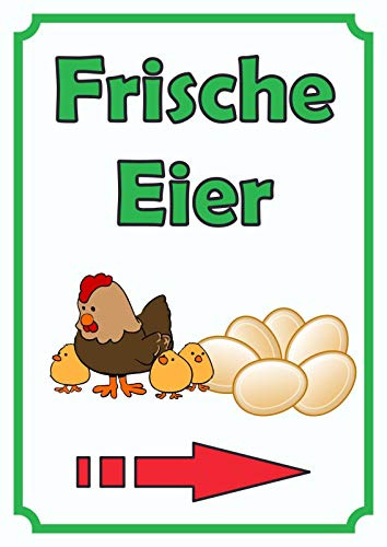 HB-Druck Verkaufsschild Schild EierHochkant mit Pfeil rechts A4 (210x297mm)