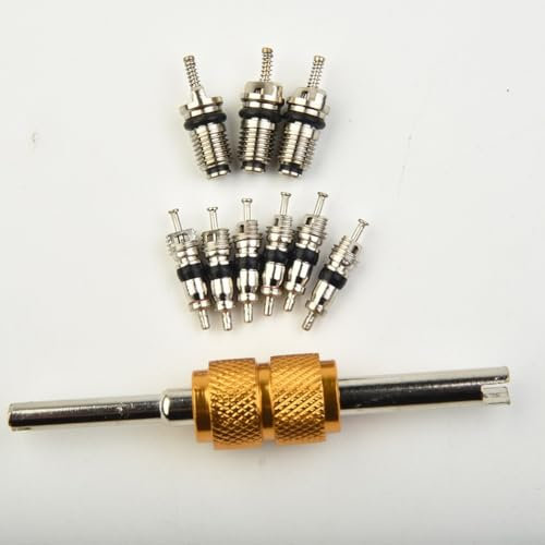 Kit de reparación de sistema de refrigeración automotriz con un juego completo de válvulas y una herramienta de extracción