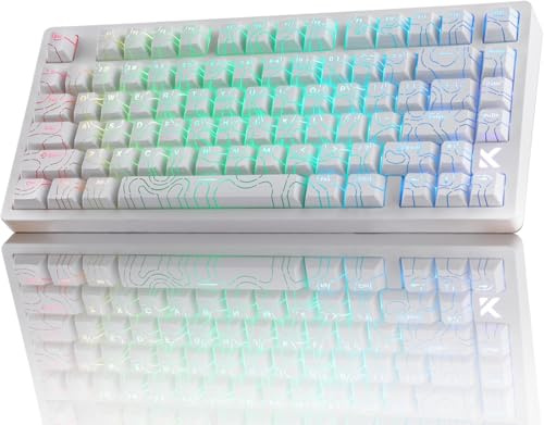 Hyekic Mchose Jet 75 Trådbundet mekaniskt gaming-tangentbord med magnetbrytare, 75 % snabbutlösare, 8 kHz scrutation rate HotSwap RGB-tangentbord för PC/Mac, vit