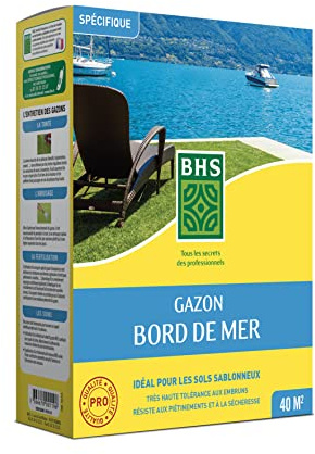 BHS GBM1 | 1kg | 40 m² | Erba sul mare | Grande resistenza al vento, alla siccità e alle condizioni saline | Buon comportamento estivo | Estetica e resistenza generale
