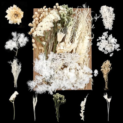 Trockenblumen Zum Basteln, Natürliche Gemischte Getrocknete Blumen | für DIY Epoxidharz Scrapbook Zubehör Handwerk Karten