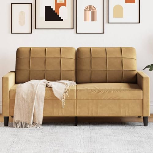 Willood 2-Sitzer-Sofa Polstersofa Doppelsofa für Wohnzimmer, Couch Loungesofa Metallgestell, Zweisitzer Samtsofa Sitzmöbel, Modern Braun 140 cm Samt