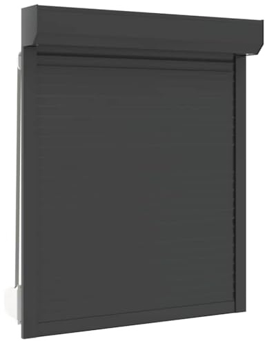 vidaXL Rulljalusi aluminium 100x120 cm antracit