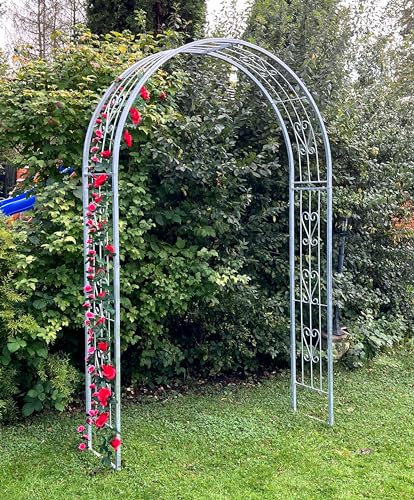 DanDiBo Rosenbogen Verzinkt Massiv 150 cm Torbogen 96520 Wetterfest Rundbogen Volleisen Rankhilfe Gartenbogen Feuerverzinkt