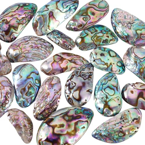 PH PandaHall 20 Stück Natürliche Abalone Muschelperlen 24~50mm Abalone Schmuck Bunte Unregelmäßige Paua Muschelperlen Zum Basteln Armbänder Ohrringe 2 Stränge