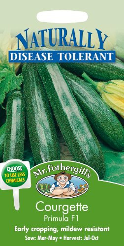 Mr Fothergill's 17410 COURGETTE Primula F1, Green