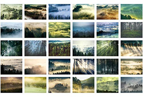 30 Stück 1 Set Reise-Postkarten Landschaft Postkarten Geschenk Blanko Postkarten (Wald)