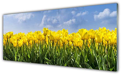 Tulup Acrylic Glass Print 125x50cm Wall Art - Wall Picture Plastic Acrylic Glass - Tulips Floral