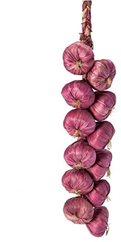 Onsinic Falsos Artificial Cebolla Brochetas De Fruta Simulación De Verduras Ornamento Colgante De Pared Inicio Verduras Decoración De La Pared Fotografía Apoya Vegetales