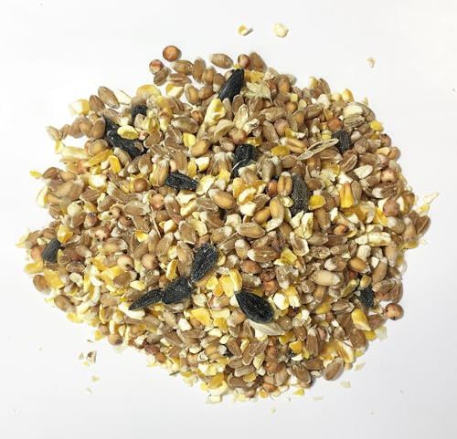 Copdock Mill Pet Performance Wild Bird Seed Garden Mix with Aniseed 20kg All Year Round Feed 100% Natural Nutritional Bird Seed for Small Garden Birds