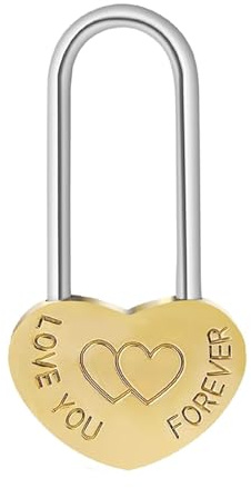 Heart Shaped Padlock Engraved with Love You Forever Double Hearts Lock Love Lock for Wishing Tree, Acacia Bridge, Fence
