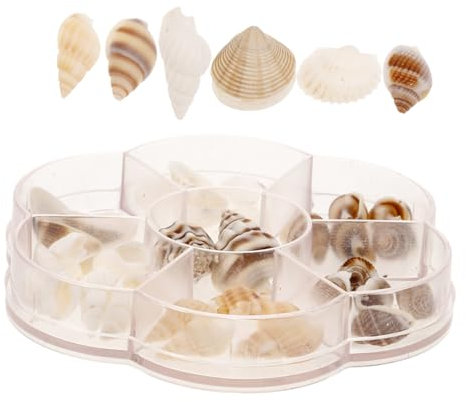 Holibanna Kleine Natürliche Muscheln Zum Basteln DIY-Muscheln Für Heimdekorationen Aquariumdekoration Natur-DIY-Material Muscheldekor Bastelmaterial