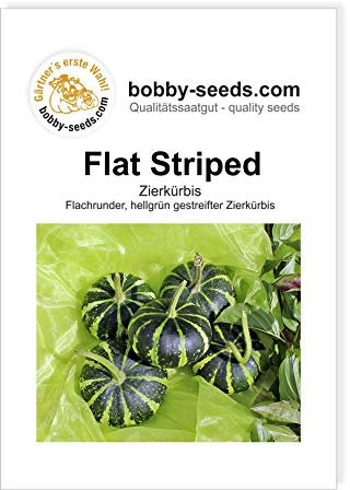 Flat striped Zierkürbis von Bobby-Seeds, Portion