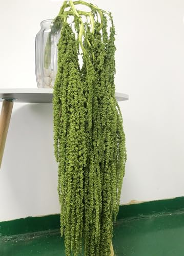 Tiges de Fleurs séchées glycine, 60-80 cm, hortensias, guirlandes de Fleurs Naturelles, Fleurs d'amarante, pour Mariage et décorations de fête (Vert)