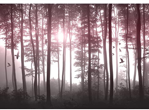 Runa Art Fototapete Wald Nebel Vögel Modern Vlies Wohnzimmer Schlafzimmer - Made in Germany - 308 x 220 cm Rosa 9326010c
