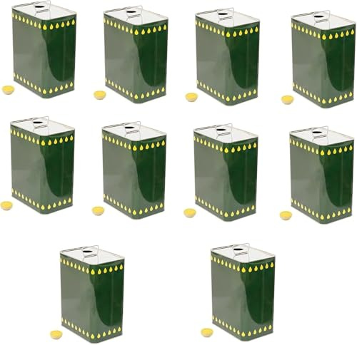 10 lattine Latta lattina tanica contenitore per olio alimentare da 1 litro per trasporto olio con tappo incluso