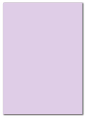 100 DIN A4 Papierbogen Planobogen - Lila - 160 g/m² - 21 x 29,7 cm - Bastelbogen Ton-Papier Fotokarton Bastel-Papier Ton-Karton - FarbenFroh