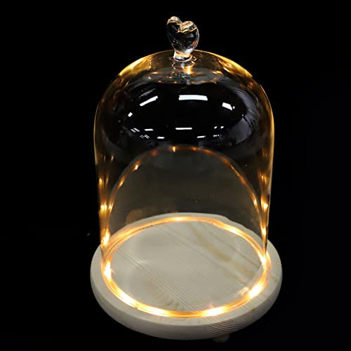 FRCOLOR Home Decor Home Decor Cheese Glass Dome with light up glass dome cloche with wood base with led light Lighted Base: Small Décor Accessories Accessories