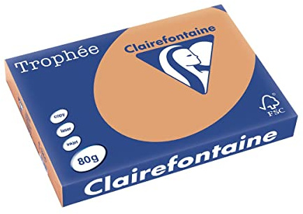 Clairefontaine 1254C - Ries mit 500 Blatt Druckerpapier / Kopierpapier Trophée, DIN A3 (29,7x42 cm), 80g, Kamelbraun Pastellfarbe, 1 Ries