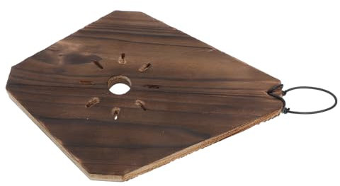 POPETPOP Plaque de Montage de fougère jardinière Murale pour Plantes succulentes Les Plantes d'orchidées Vanda vivent jardinière Suspendue Murale pour platycerium Bois