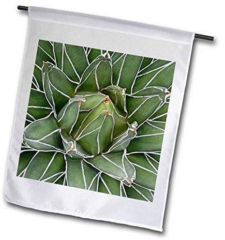 3dRose FL_183788_2 Agave Green Plant Flagge, 45,7 x 68,6 cm