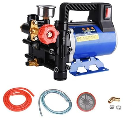 Pompe électrique haute pression for outils de jardin, pulvérisation d'eau, 200 W, irrigation agricole, piston à double cylindre, lavage de voiture, entretien(48V)