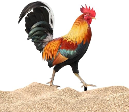 Hahn Hof Decor – Garden Plug Garden Figuren Huhn Figur Garten Dekoration Tiere Plug Deco Figur Druckwächter flach doppelstöckig aus Acryl Hahn-Dekoration zur Dekoration
