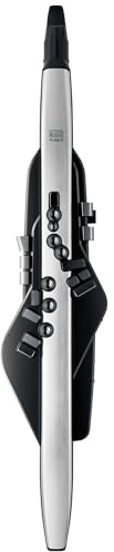 Roland AE-30 Aerophone Pro | Professionelles digitales Blasinstrument | OLED Display | hochwertige Verarbeitung & professionelle Anschlüsse | Leistungsfähige Editing-Werkzeuge