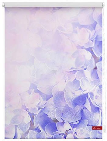Lichtblick Klemmfix Tageslicht-Rollo mit Motiv, ohne Bohren, Blickdicht, Seitenzugrollo, Made in Germany, Hortensie - Lila 120 x 150 cm (B x L)
