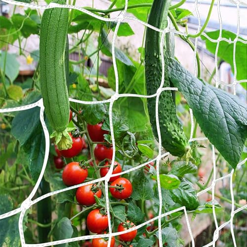 1.5MX9M Red de Enrejado para Todo Tipo de Clima, Red de Malla para Plantas de jardín, Enredadera, Red de Enrejado, Red de Enrejado de jardín para Plantas trepadoras