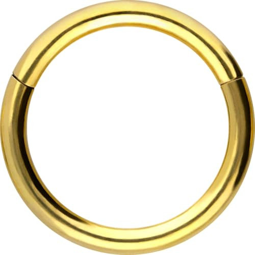 PIERCINGLINE Segmentring Clicker aus Chirurgenstahl - Piercing Ring in Gold, Silber, Rose, Schwarz oder Blau - für Nase, Septum, Ohr, Helix oder Tragus