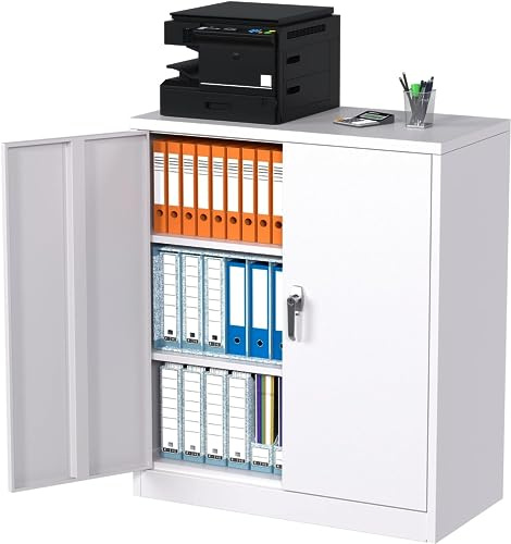 Supeer Armoire à outils en métal avec 2 étagères réglables en hauteur, tôle d'acier, revêtement en poudre, 90 x 80 x 40 cm (H x L x l), pour garage (blanc)