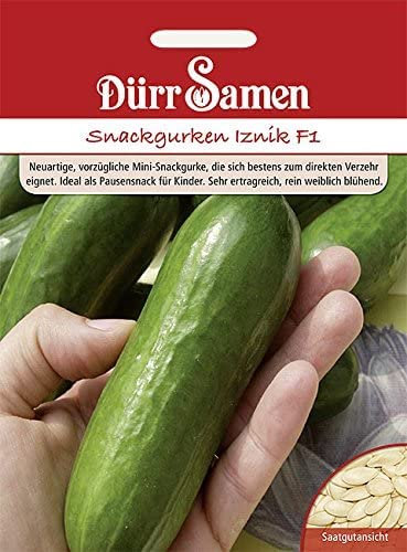 Dürr-Samen - Snackgurke Iznik F1 Saatgut