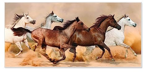 banjado Magnettafel weiß 78 x 37cm / Magnetwand Metall/Magnetpinnwand als Memoboard/Pinnwand Magnettafel Küche, Büro, Kinderzimmer inkl. 4 Magnete & Montageset - Motiv Wilde Pferde