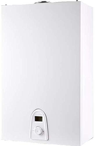 Thermor 298019 Calentador Gas Estanco Top Sealed 11 RS i D E Butano + Kit Evacuación Humos, Blanco