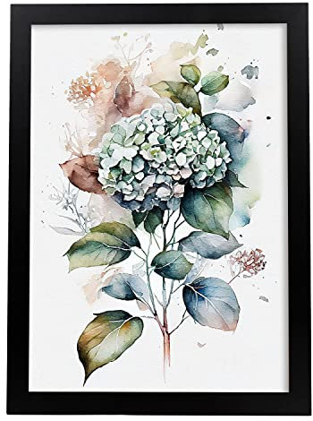 Nacnic Hortensia Affiche dans style Aquarelle Fleur Plante Botanique Minimaliste Fond Blanc Impression d'art mural pour maison de salon Design d'intérieur Modèle 2 A4 avec cadre noir