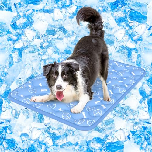 Rywell Kühlmatte Hund, Arc-Chill-Gewebe, 2cm Dick, 90x70 cm, Eisblau | Wasserdicht, für große hunde, ideal für sommer und reise, extra dick