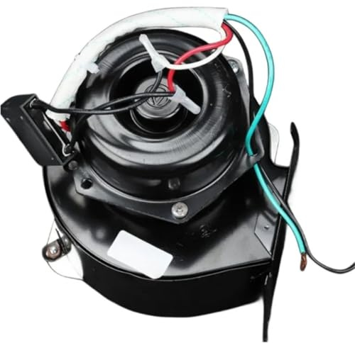 Fornello a gas con soffiante WGFJ-G022 con parti del forno soffiante