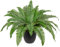 Hollyone 19.7'' Artificial Boston Fern Potted Plant, Fake Fern Bushes in Pot for Indoors & Outdoors, Faux Boston Ferns for Home Decor, Garden, Patio, Balcony, Entrance, Office, Living Room Decorations