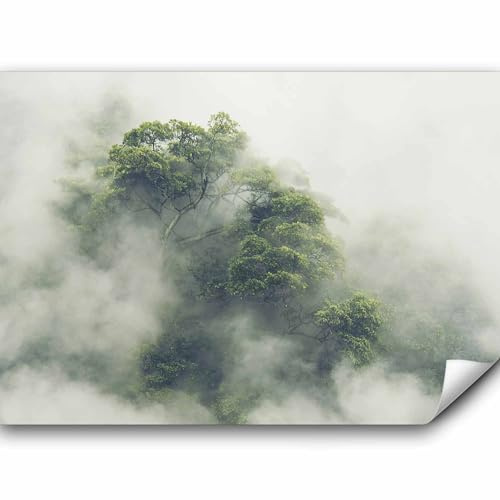 murando - Fototapete selbstklebend Wald im Nebel, 392x280 cm, Schlafzimmer | Selbstklebend ohne Kleister, Full HD Druck, ideal fürs Wohn- oder Schlafzimmer, schnelle Montage, lichtbeständig, geruchsfrei