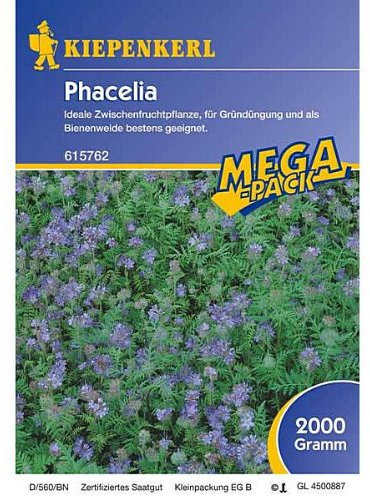 Kiepenkerl Gründünger Phacelia 2kg - 615762