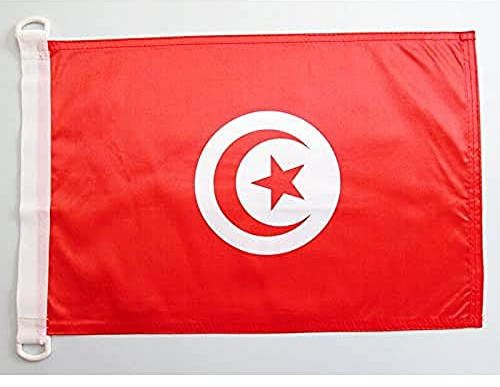 AZ FLAG Pavillon Tunisie 45x30 cm Tunisien Maille Bloquée Anneaux Plastique