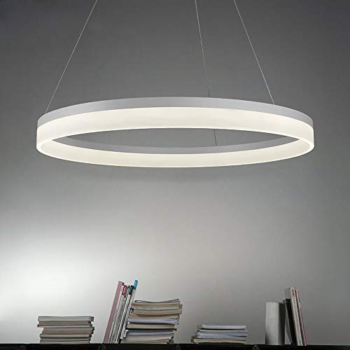 Cerchio Singolo LED Lampada A Sospensione 1 Luce Moderno Metallo Acrilico Lampadario Regolabile Sospesa Luce Pendente per Soggiorno Camera da Letto,White+WarmLight-80cm