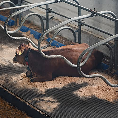 Tappetini in gomma per stalle di mucche, maiali e cavalli, pavimentazione, lastre di stalla, tappetini antiscivolo per animali domestici con rivestimento ammortizzante per bestiame KARAT (200 x 100