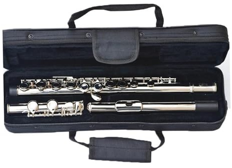 Flöte 16 Geschlossene Löcher C-Taste Flöteninstrument Kupfernickel-versilberte Konzertflöte Mit E-Taste