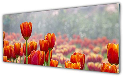 Tulup Acrylic Glass Print 125x50cm Wall Art - Wall Picture Plastic Acrylic Glass - Tulips Floral